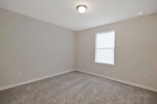 Downstairs Bedroom - 1519 Hollins Dr