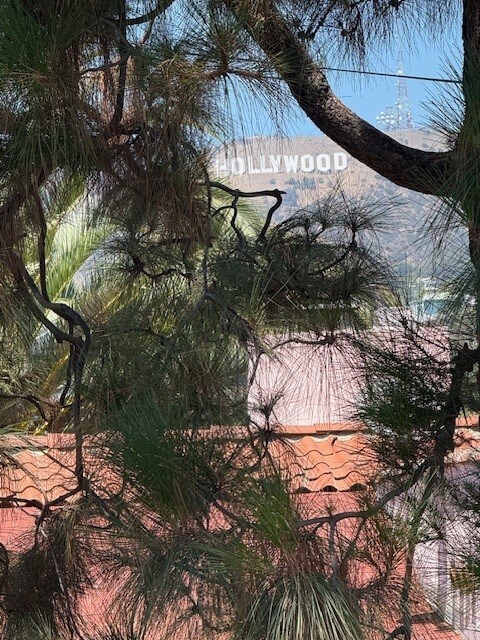 Building Photo - 2222 N Beachwood Dr