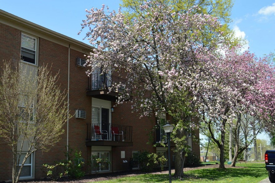 Woodgate North 709 Sapp Rd Ravenna OH 44266 Apartment Finder