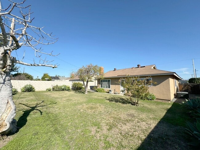 Building Photo - Single Story 3Bed Interior Location Large Yard