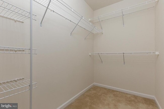 Building Photo - 4548 Alliance Way