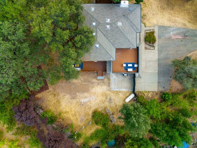 Building Photo - 3849 Bluebird Ln