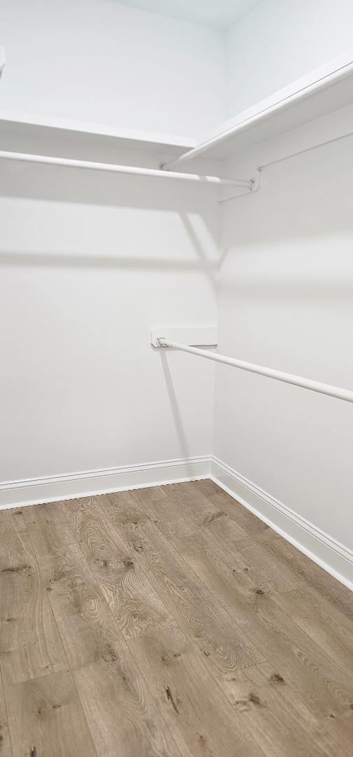 Building Photo - 2220 Remington Ct