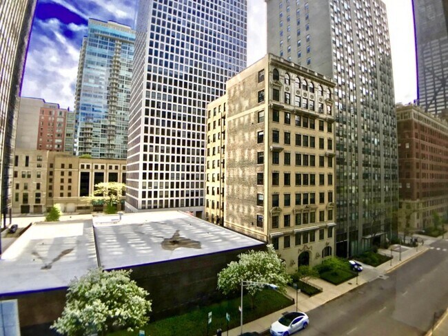 Building Photo - 900 N Lake Shore Dr