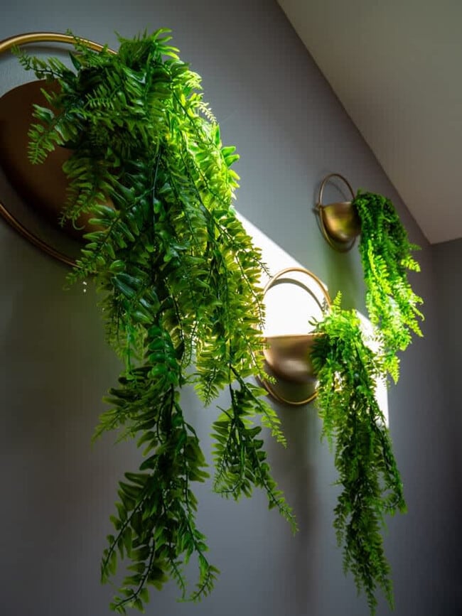 Building Photo - 6110 Lawn Ave