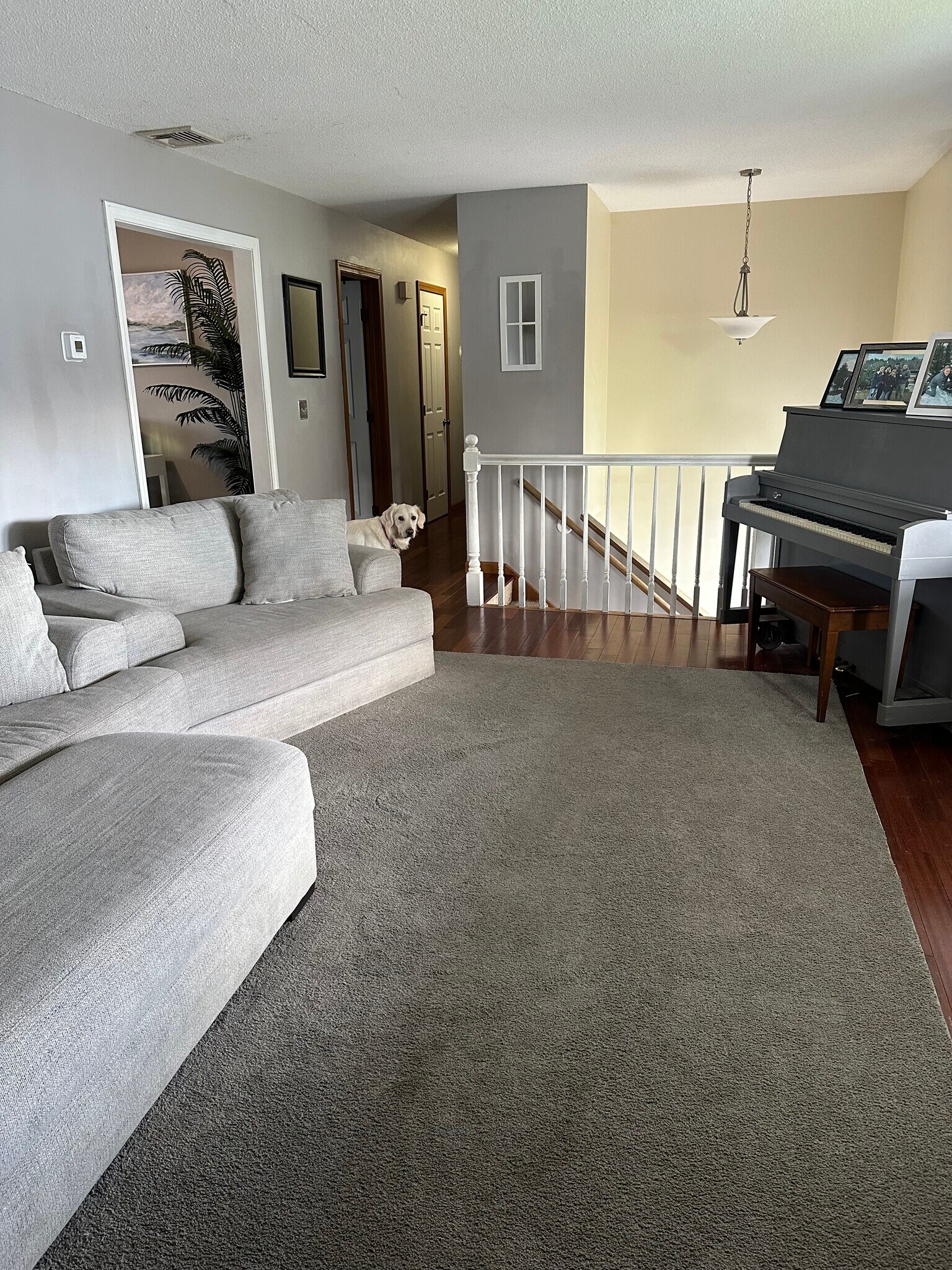 Building Photo - 29 Montano Rd