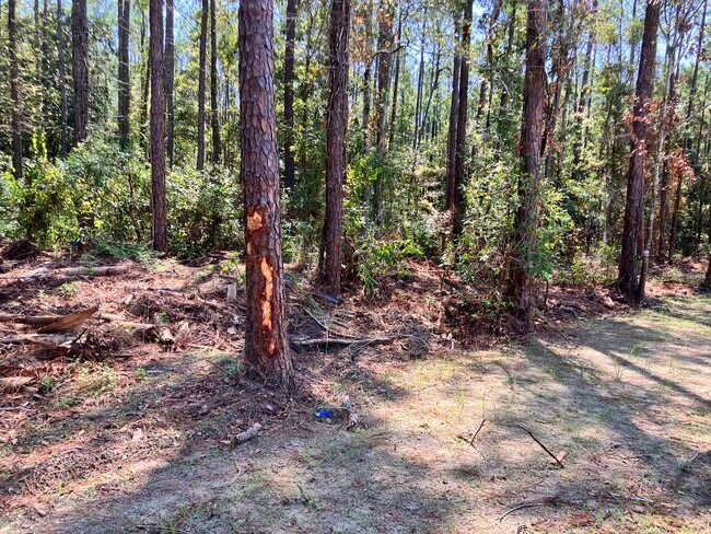 Building Photo - 164 Golden Meadow Dr