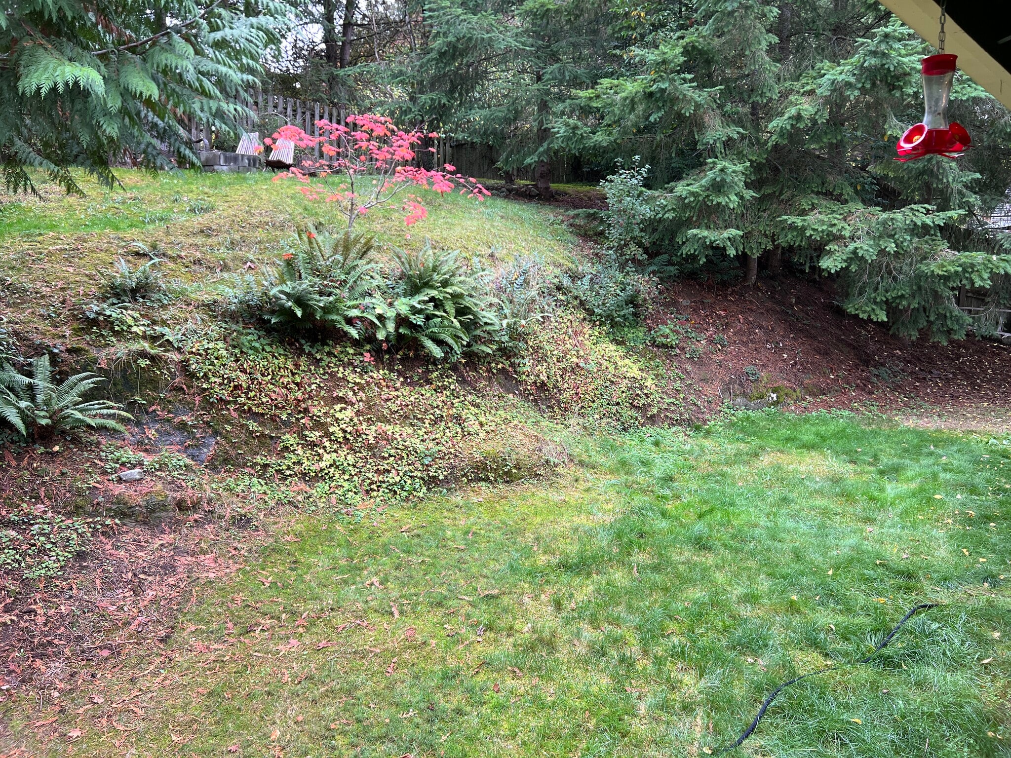 Building Photo - 1451 Lahti Dr