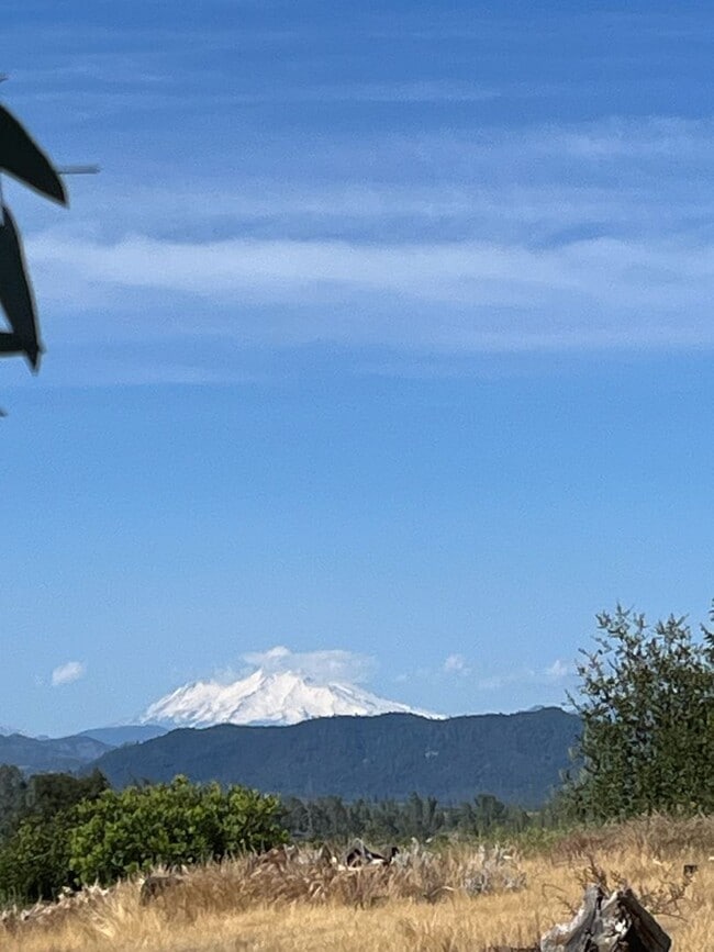 Building Photo - 2/1 HOME WITH BEAUTIFUL VIEWS