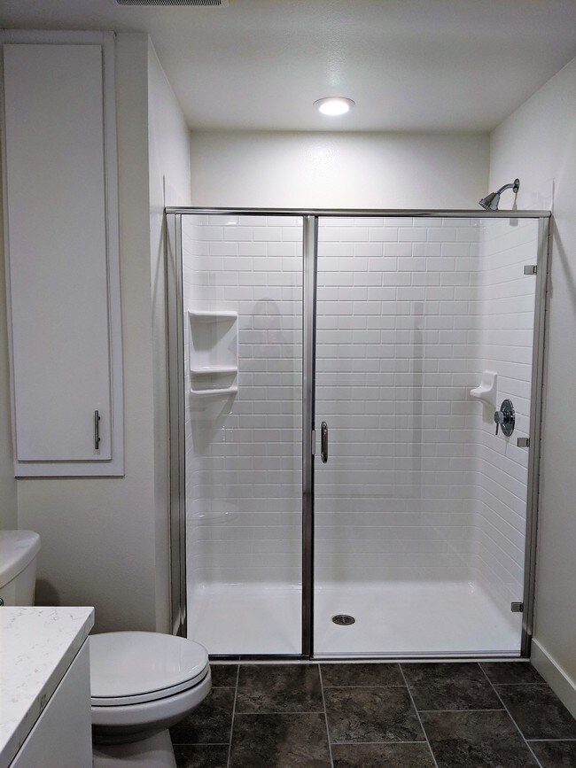 Large Walk-in Shower Stall - 2324 Nolita