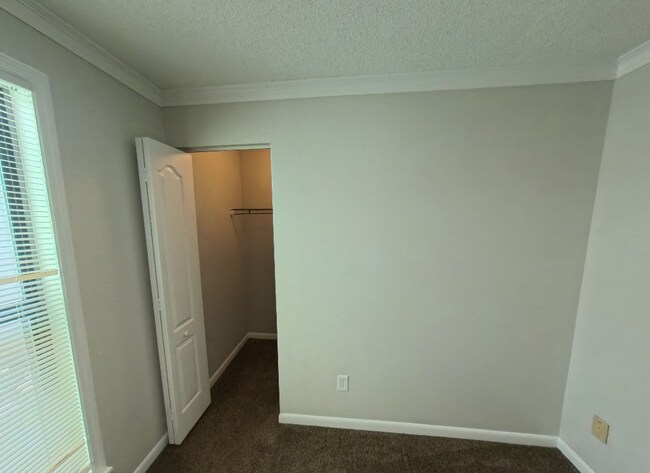 Building Photo - "Charming 3-Bedroom Retreat on Daisy Lane – Your Cozy Jacksonville Sanctuary!"