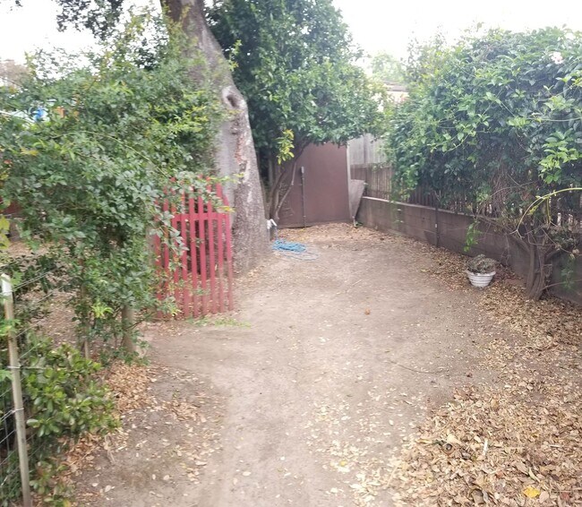 Building Photo - 5 bedrooms 2 baths close to campus and huge Backyard!