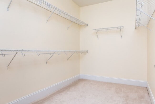 Building Photo - The BEST North Hills Condo!