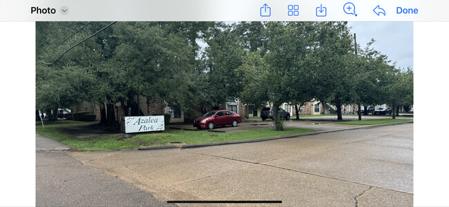 Primary Photo - Azalea Park