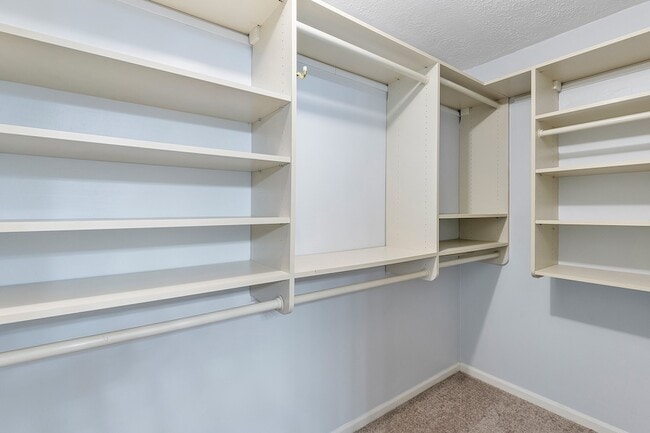 Building Photo - 3223 Golden Willow Dr