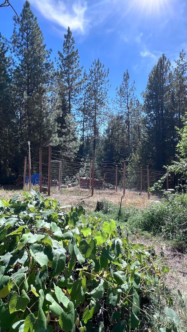 Building Photo - Peaceful Country Setting – Beautiful 5-Bed...