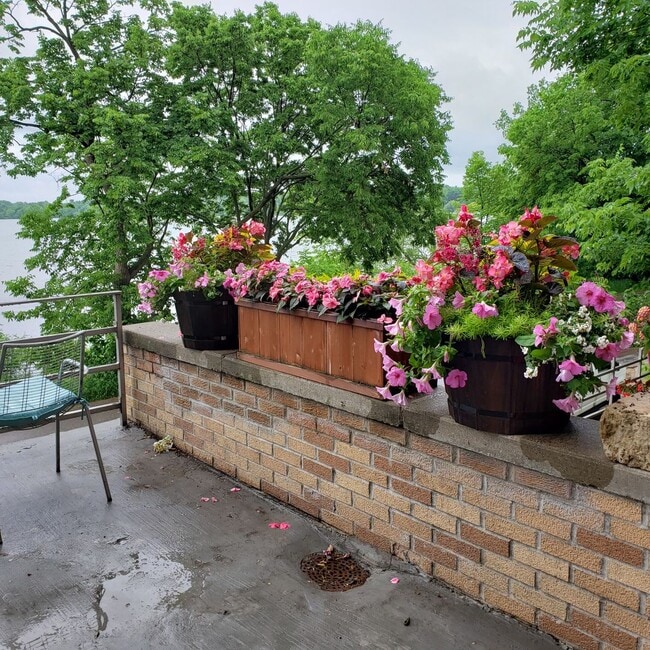 Building Photo - Beautiful Apartment with Gas fireplace on Lake Harriet