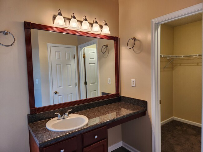 Master Bathroom - 1025 Winding Brook Way