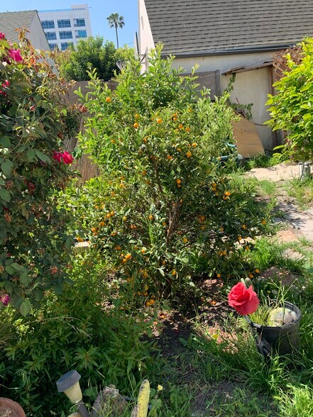 Building Photo - 147 N Stanley Dr