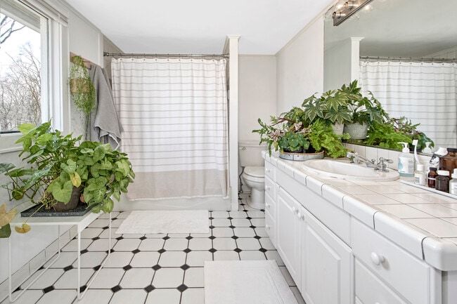 Upstairs Bathroom - 38 Ferry Ln E