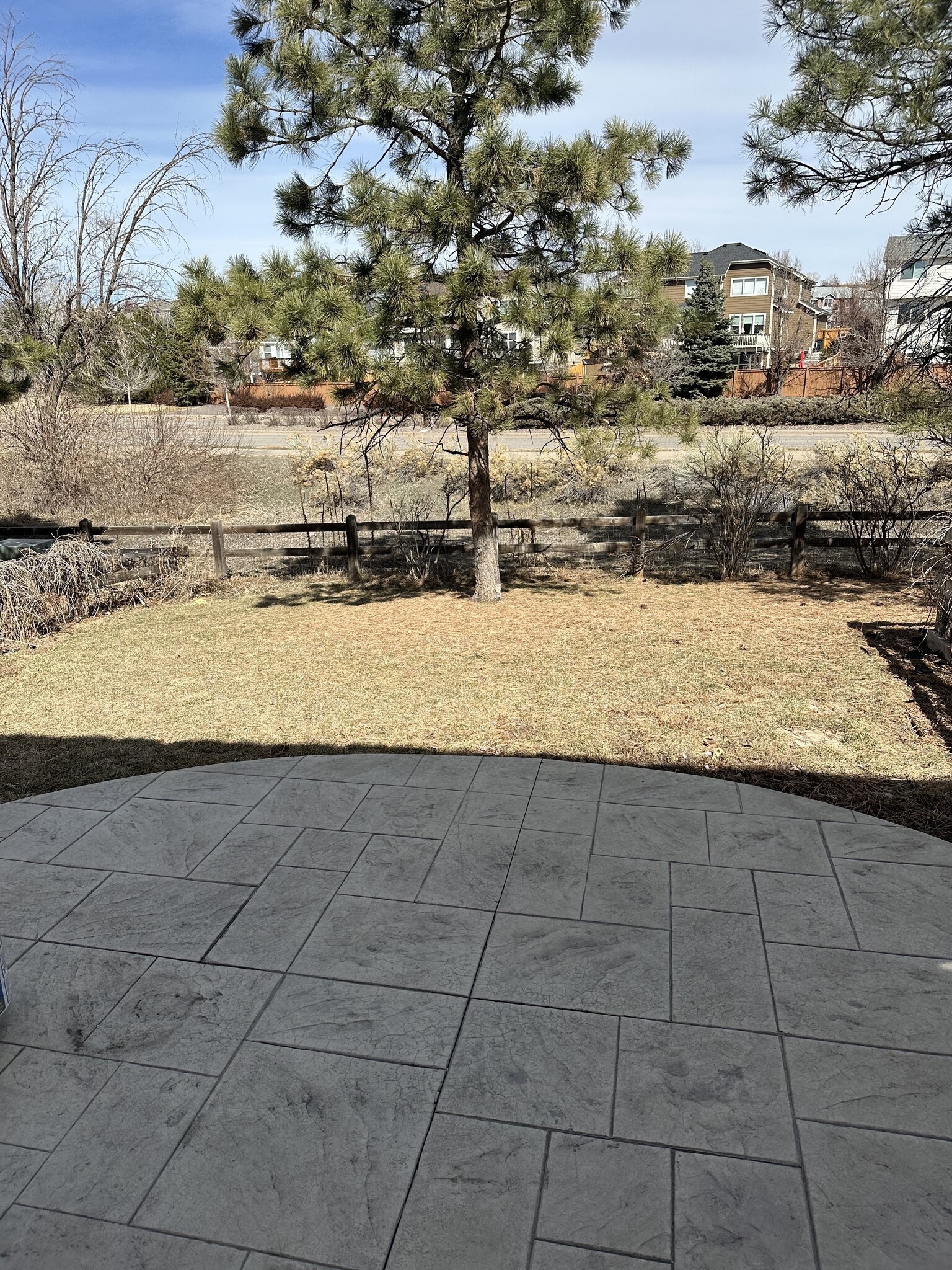 Backyard - 18079 E Orchard Pl