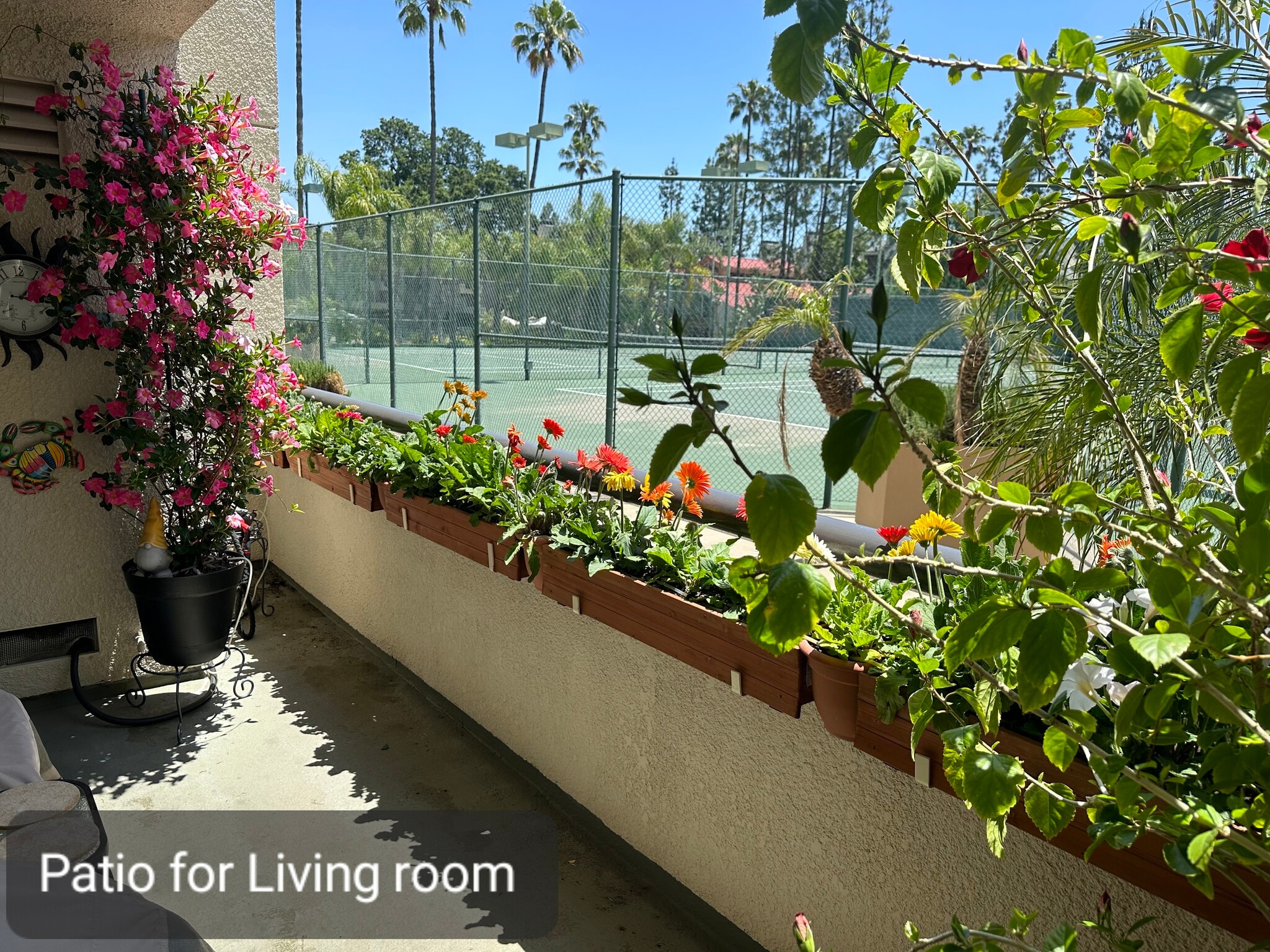 Building Photo - 5565 Canoga Ave