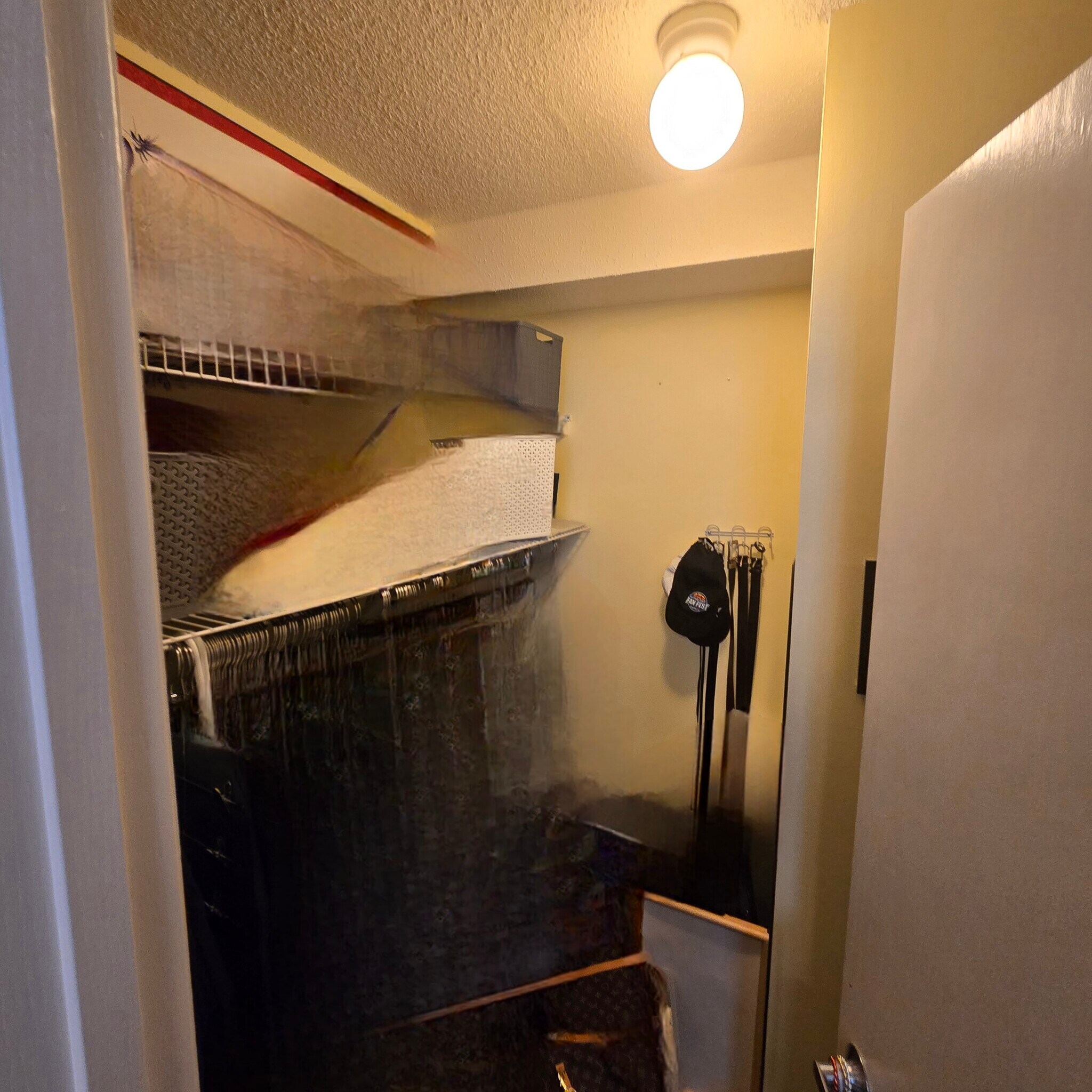 Walk in Closet - 401 S 1st St