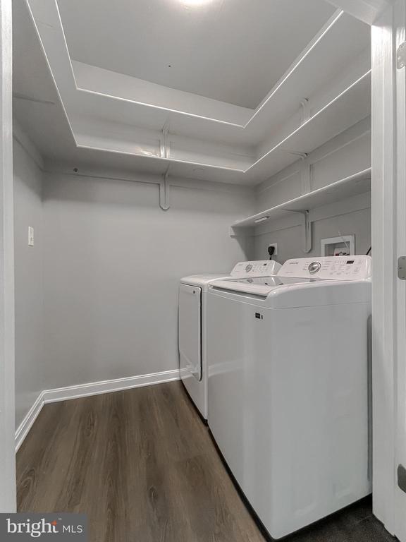 Building Photo - 3815 Catesby Oak Ct
