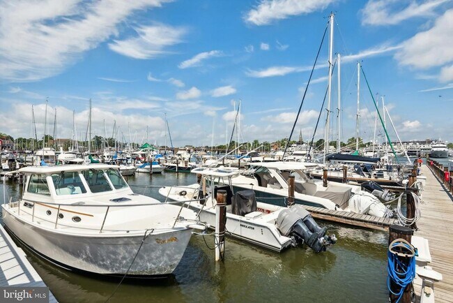 Building Photo - 312 Severn Ave