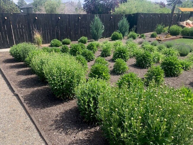 Building Photo - 3 Bed 2 Bath Single level Fenced