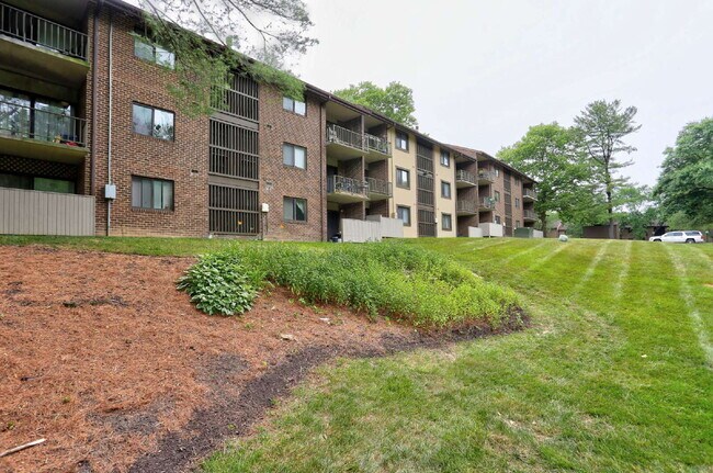 Building Photo - 1BD/1BA - Great Condo in Columbia