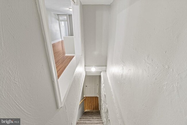 Building Photo - 307 Roxborough Ave