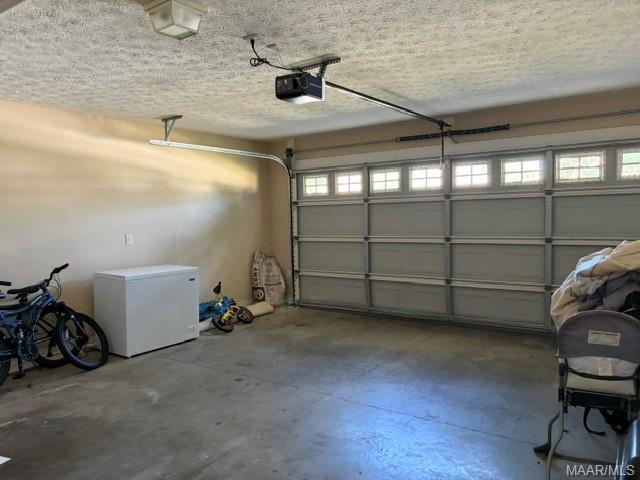 Building Photo - 9213 Silverberry Ct