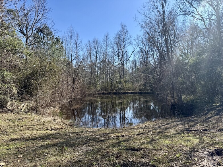 Small Pond - 525 Horsefly Rd