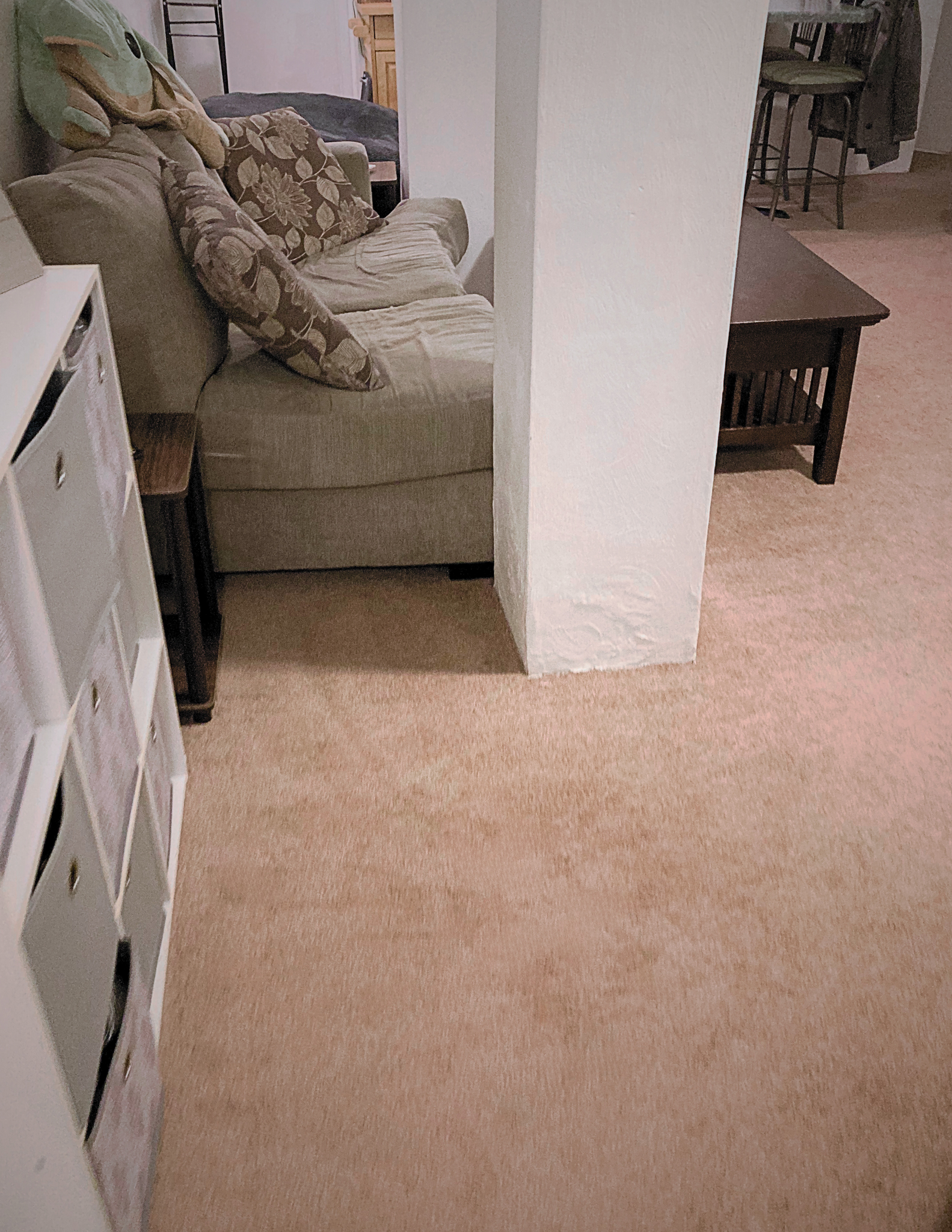 Living Room (ex. 2) - 218 N Craig St