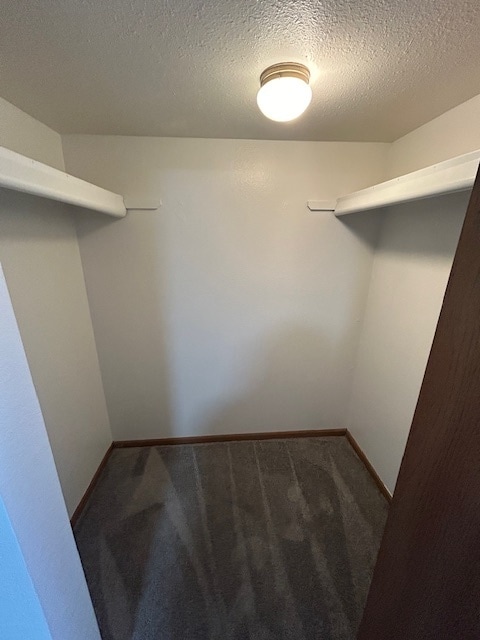 Walk-in Closet - Spansail Court Apartments
