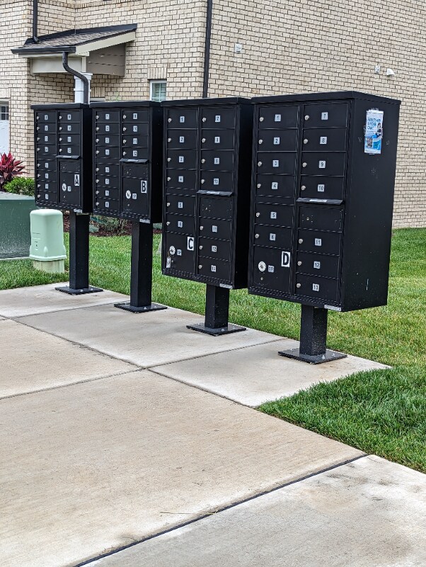 Building Photo - 561 Becks Pl