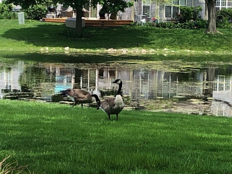 Building Photo - 725 Ripple Brook Ln