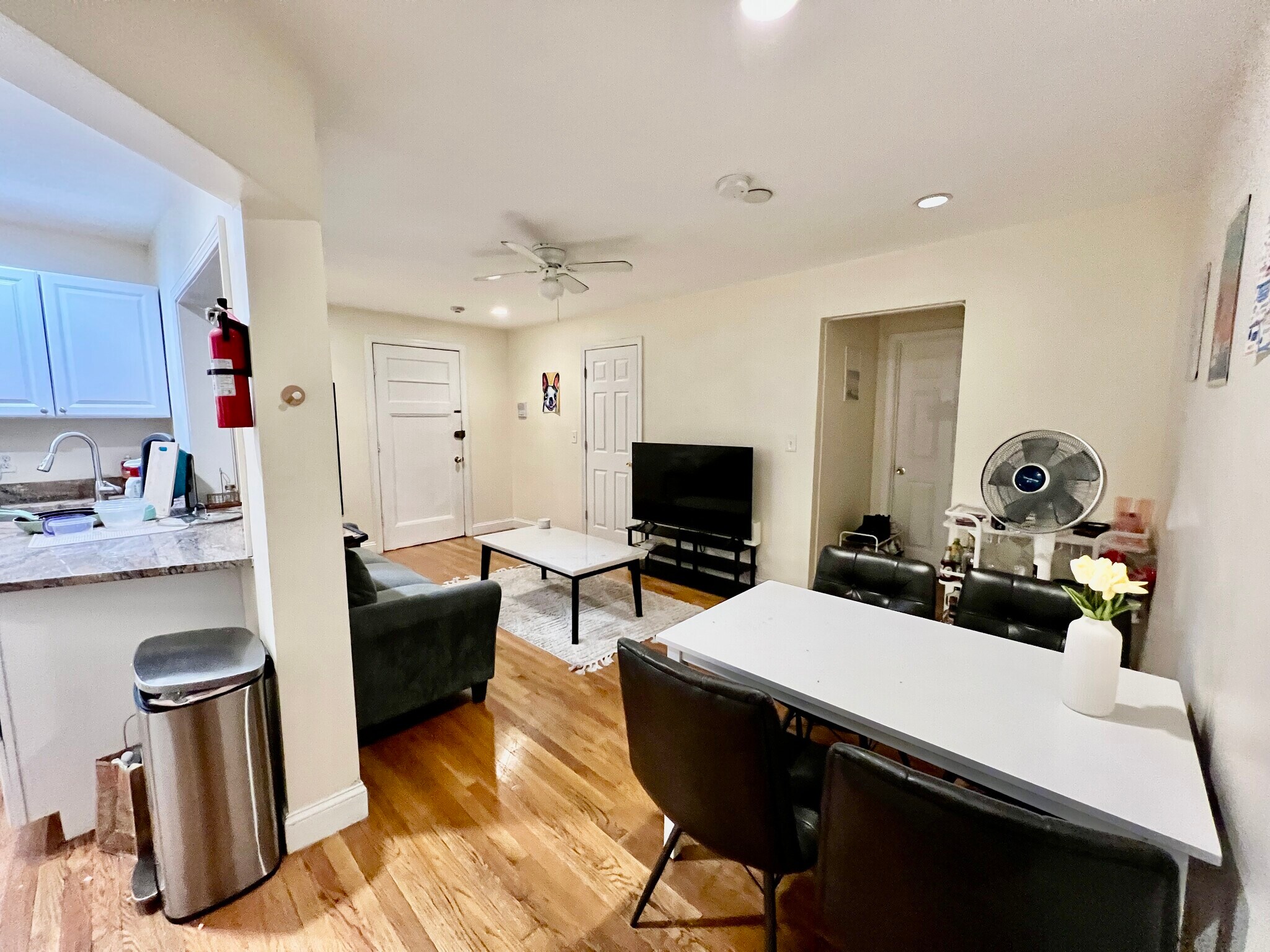 Building Photo - 62 Egmont St