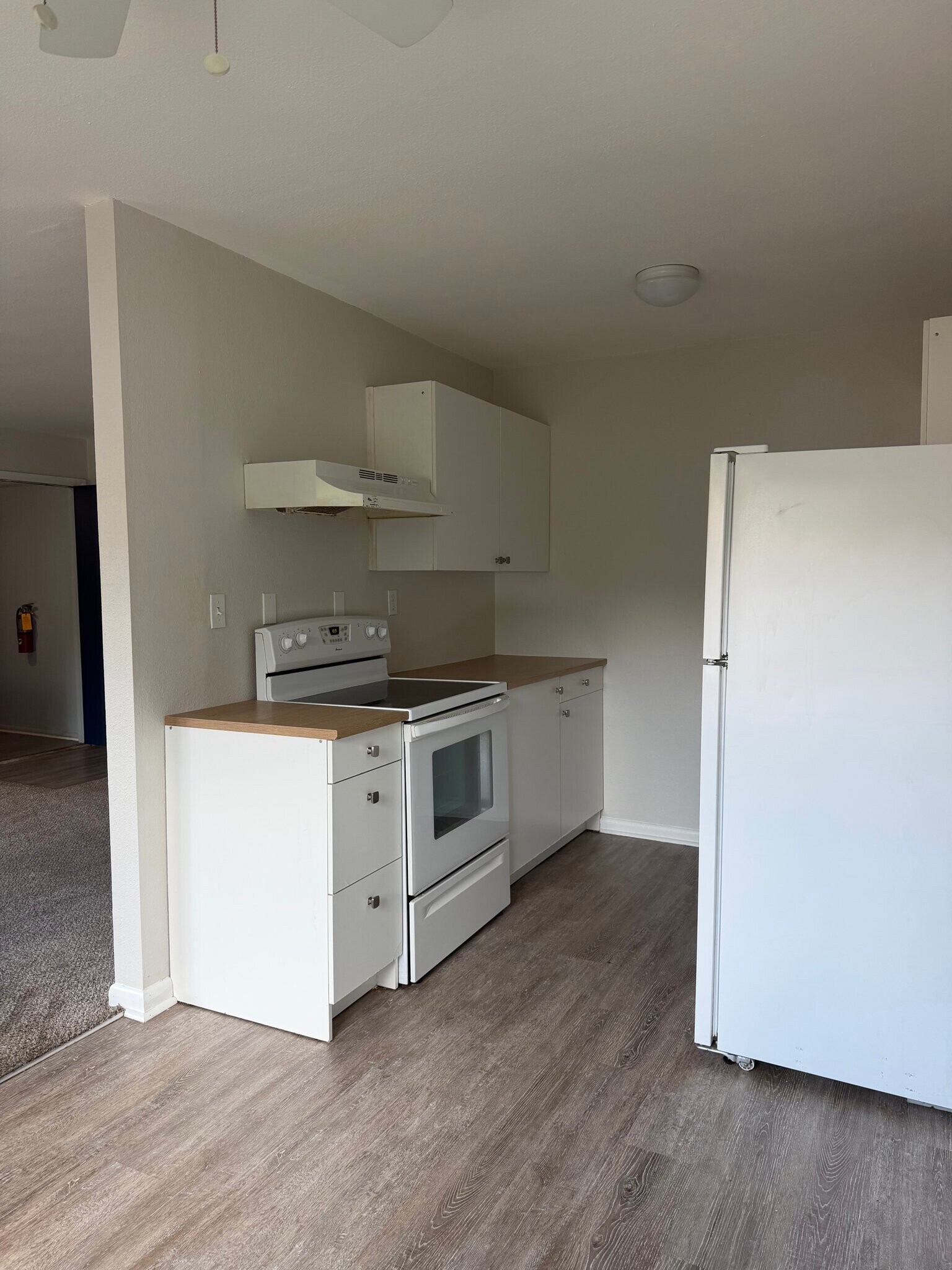 Building Photo - 2412 Azalea Garden Rd