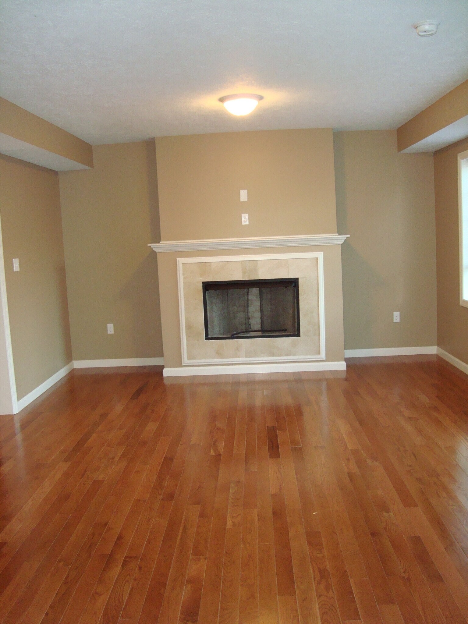 Building Photo - 35 Norton St