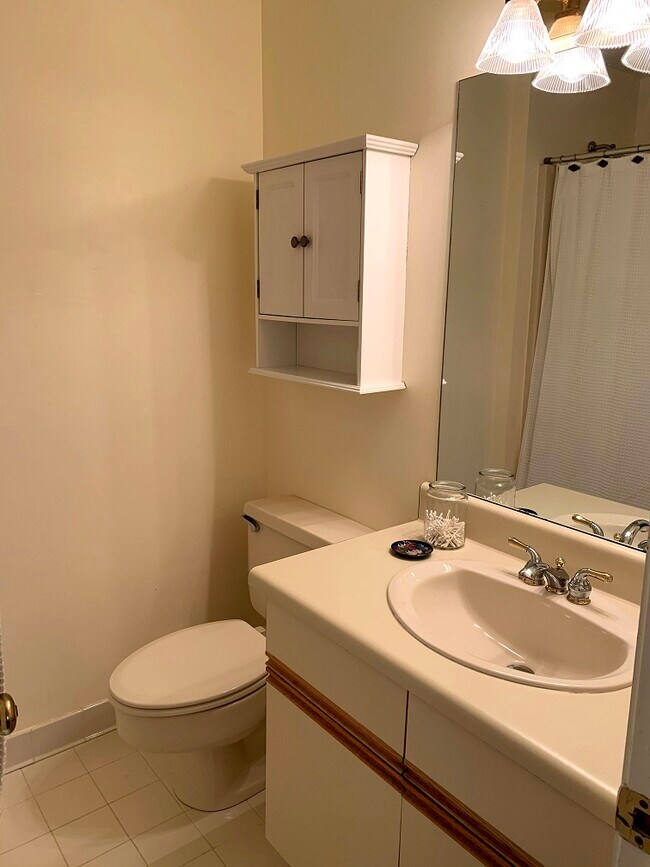 Master bathroom - 164 5th St NE