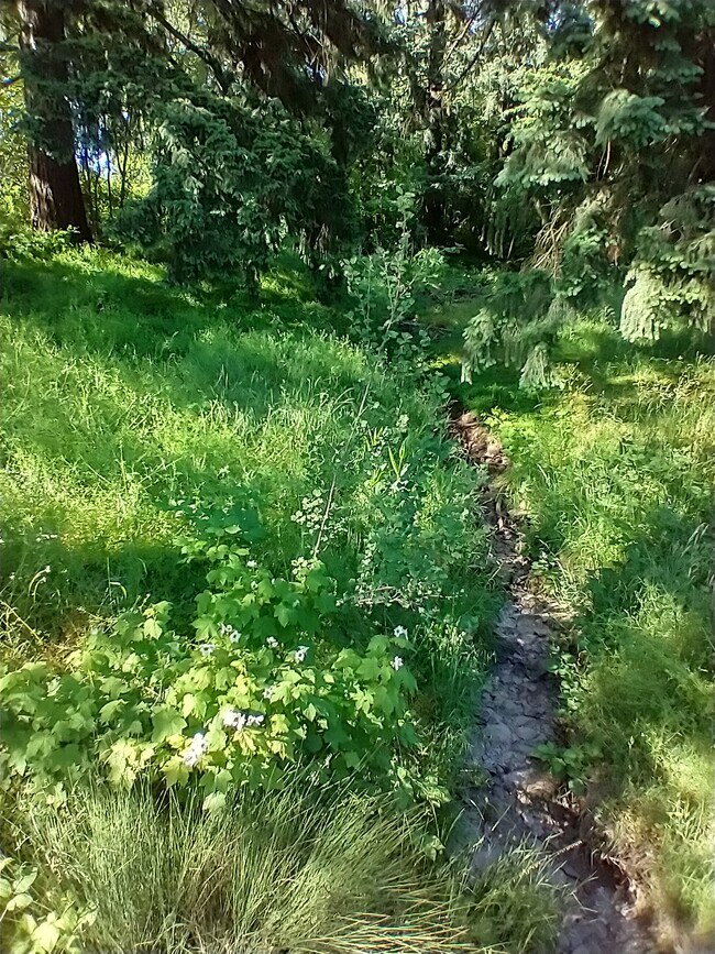 Building Photo - 12003 SE High Creek Rd