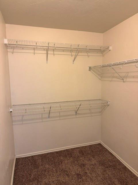 Building Photo - 1116 Brandywine Ln