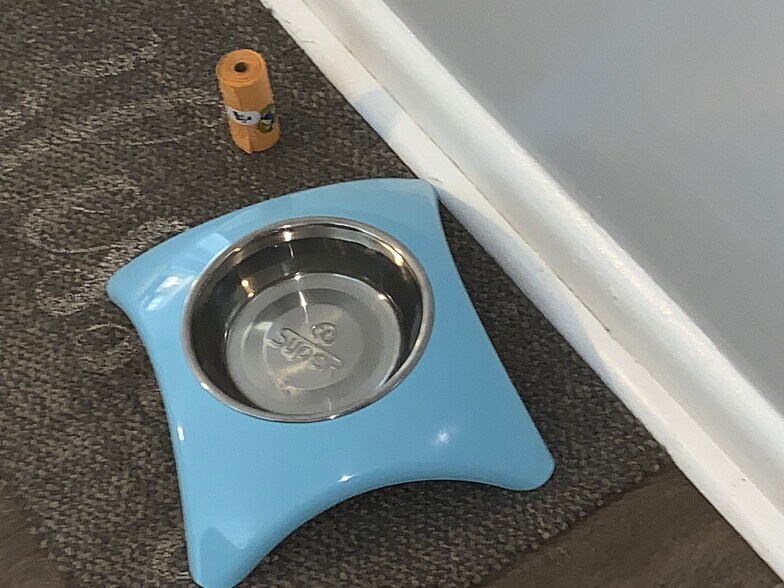 Building Photo - 2320 Vista Ave