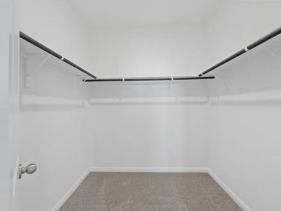 Building Photo - 209 Cherry Blossom Ln