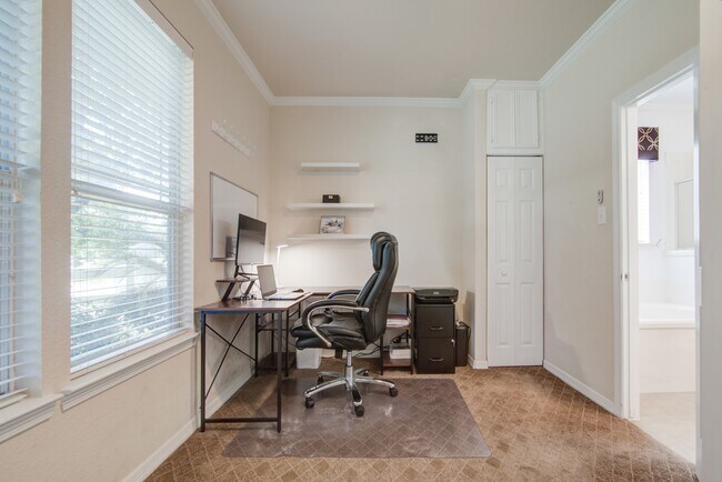 Building Photo - 55 Middle Borondo
