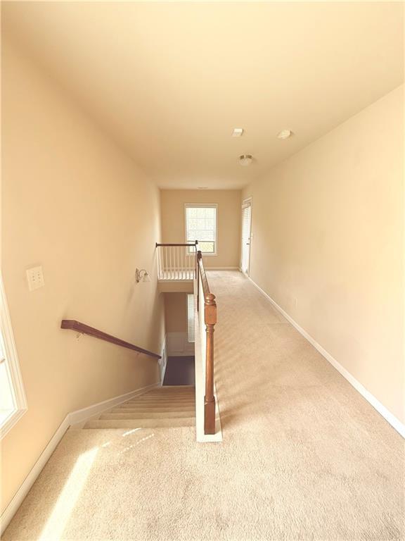 Building Photo - 338 Privet Cir