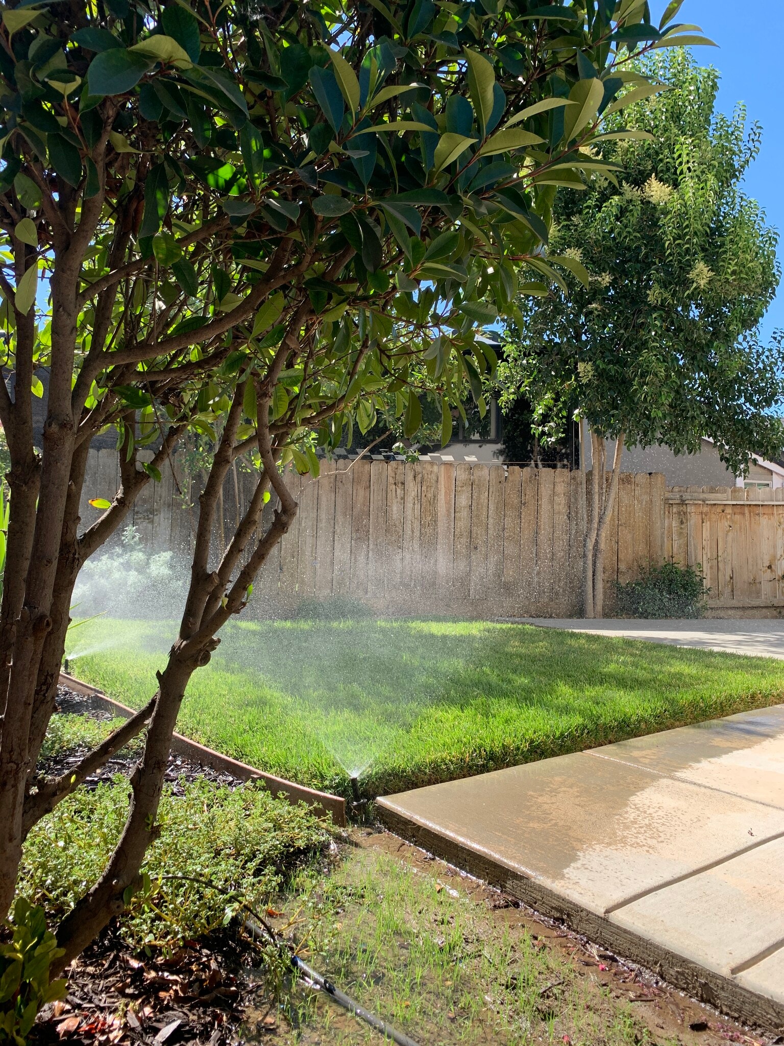 Landscape and gardener. - 2626 Capella Dr