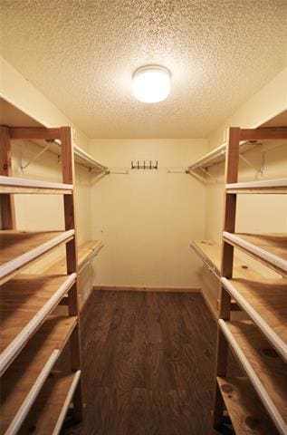 Building Photo - 6600 Estados Dr